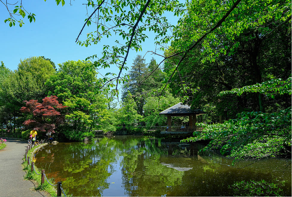 蚕糸の森公園