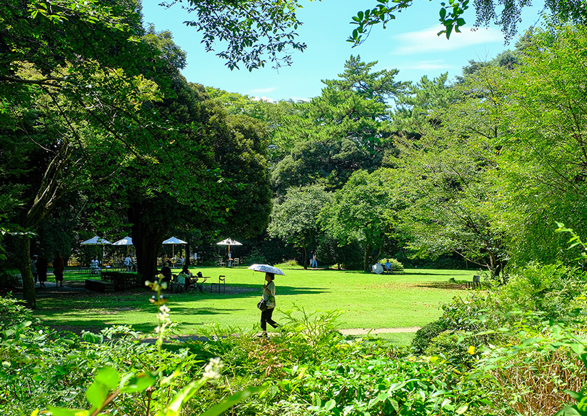 東京都庭園美術館庭園
