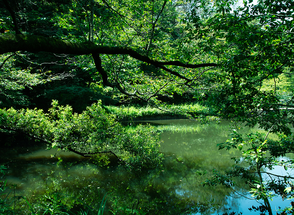 国立科学博物館自然教育園