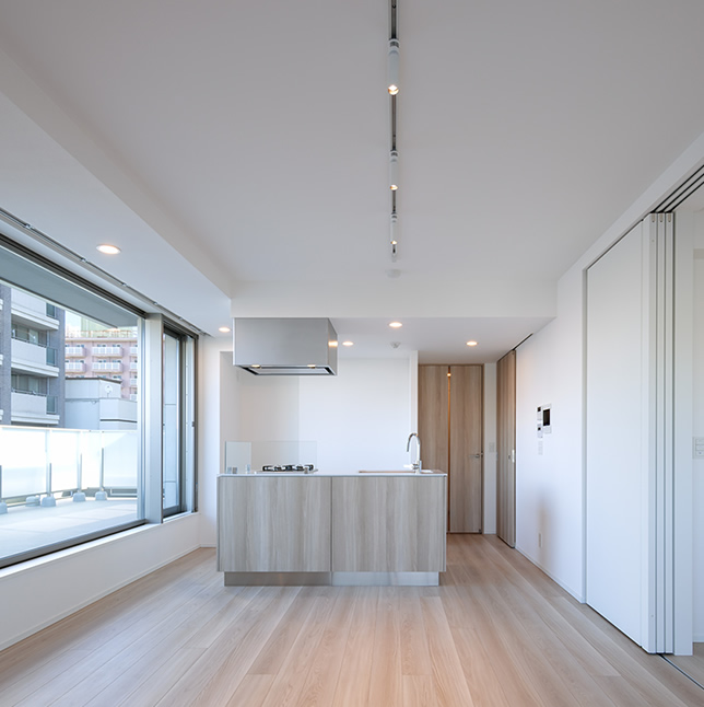 IPSE白金台 Eタイプ(501号室)LDK・BR