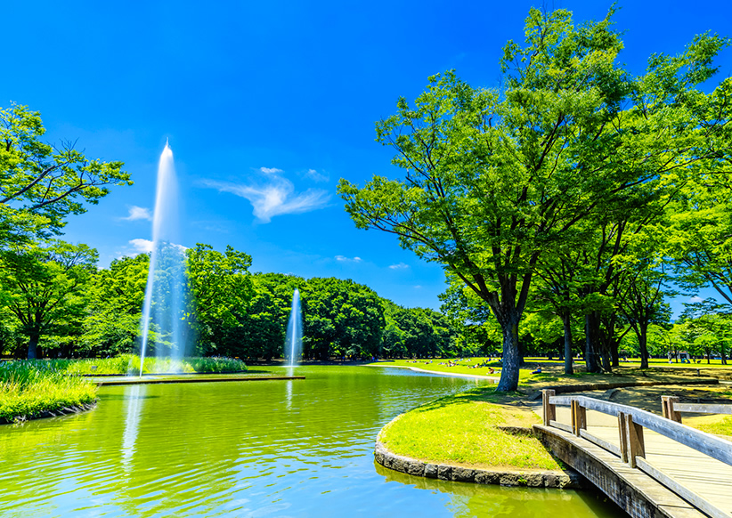 代々木公園